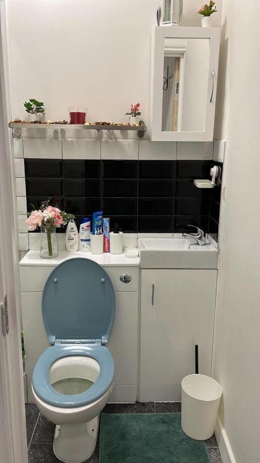 Lovely Apartment Close To Acton Central Station ロンドン エクステリア 写真